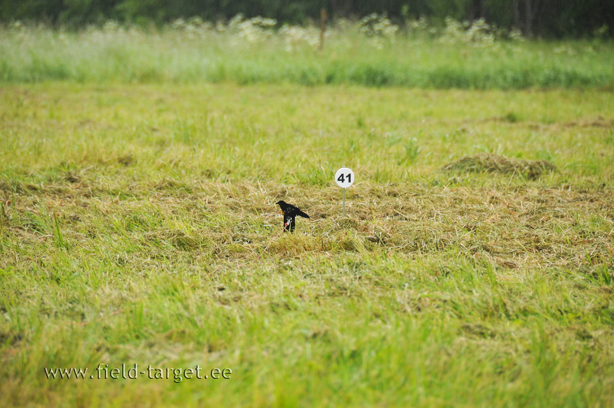 Siis tuleb hästi pisike märk panna hästi kaugele